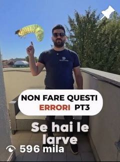 Reel Instagram di FP Disinfestazioni: non fare questi errori se hai le larve
