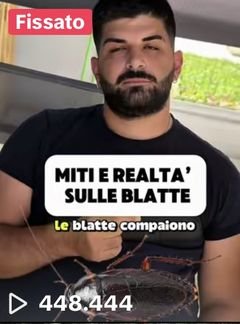 Video TikTok di FP Disinfestazioni: miti e realtà sulle blatte
